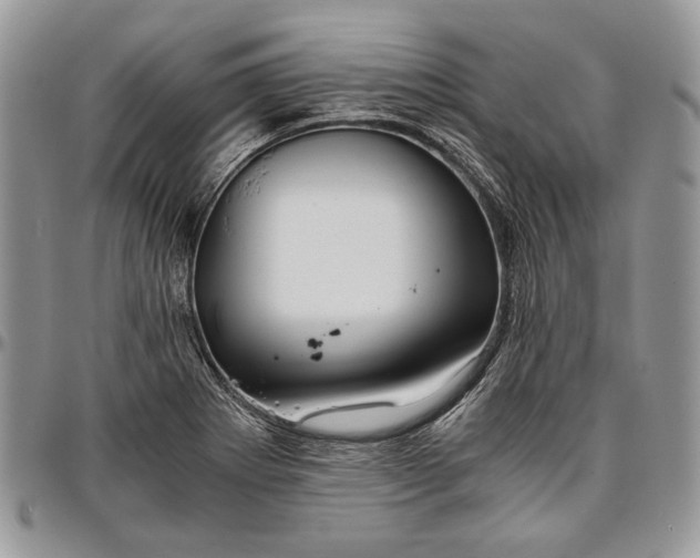 X0000096381273200802141423