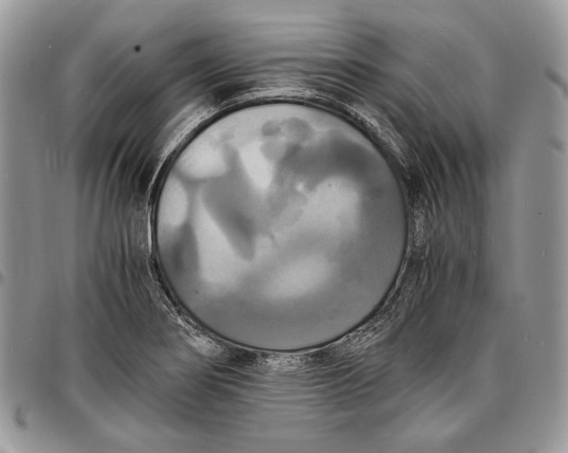 X0000096381274200802141423