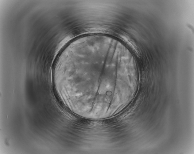 X0000096381275200802141423