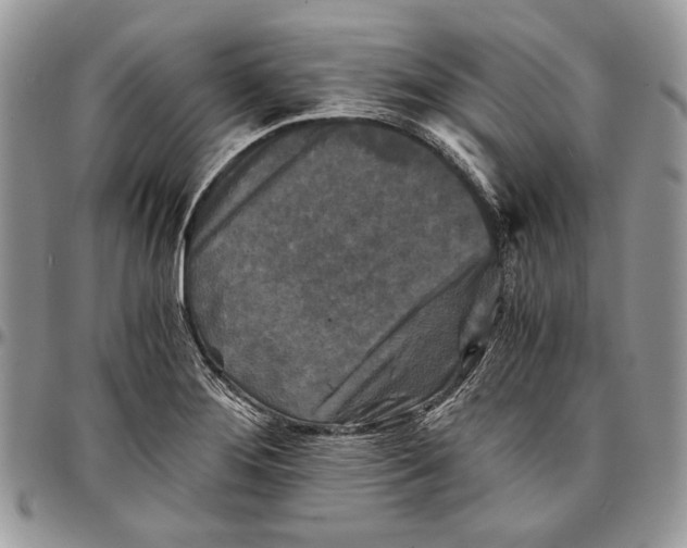 X0000096381276200802141423