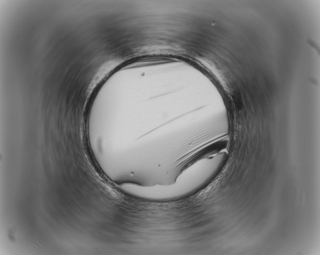 X0000096381277200802141423