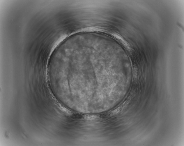 X0000096381278200802141422