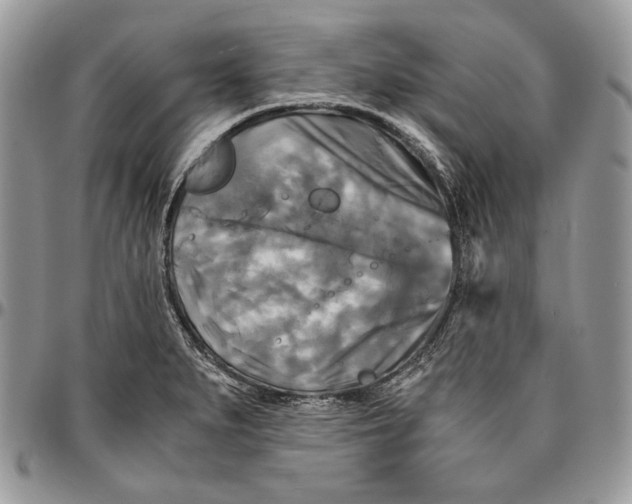 X0000096381279200802141422