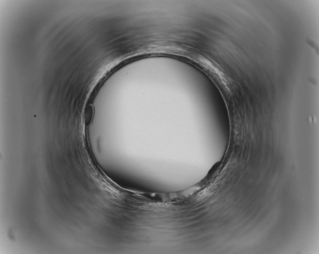 X0000096381280200802141422