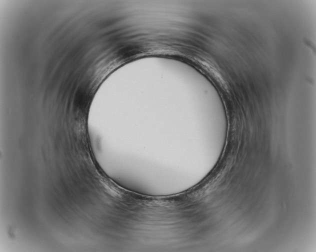 X0000096381281200802141422