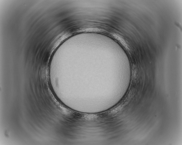 X0000096381282200802141422