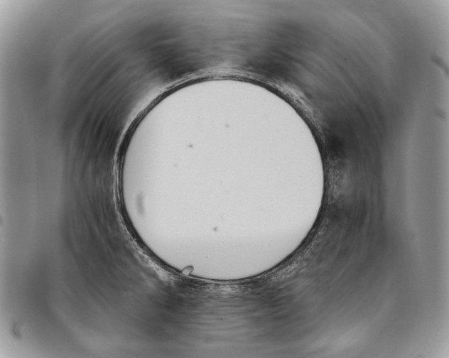 X0000096381286200802141422