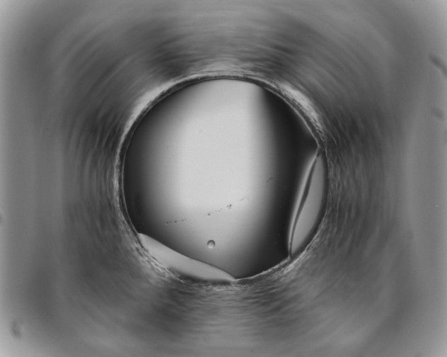 X0000096381288200802141422