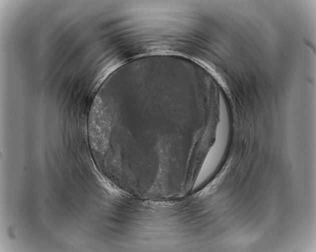 X0000096381289200802141422