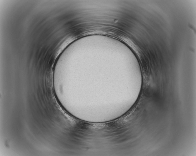 X0000096381290200802141422