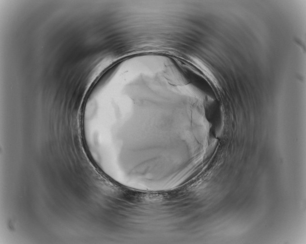 X0000096381291200802141422