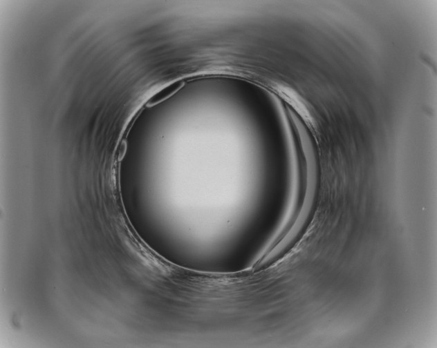 X0000096381292200802141422