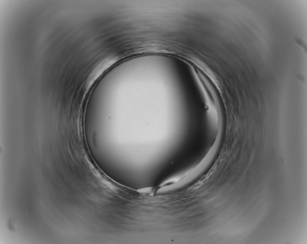 X0000096381293200802141422