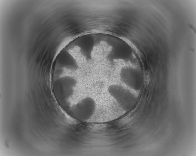 X0000096381294200802141422