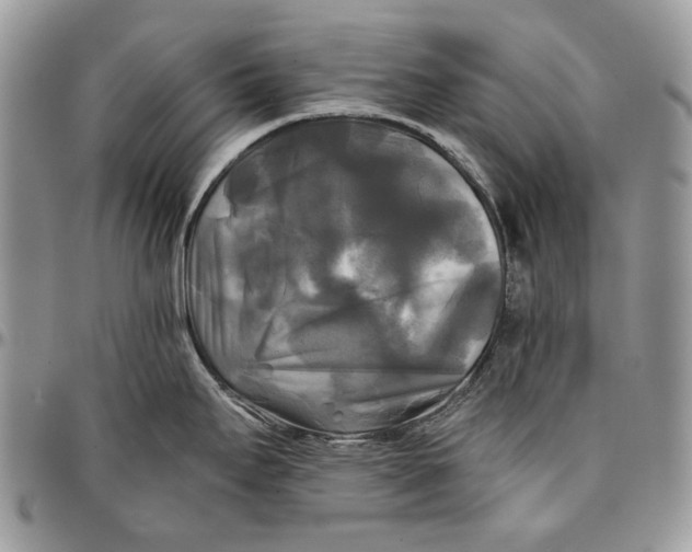 X0000096381295200802141422