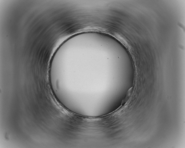 X0000096381296200802141422