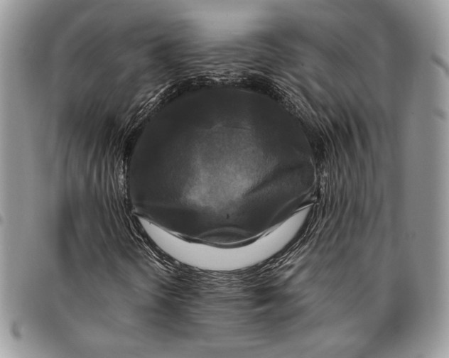 X0000096381298200802141422