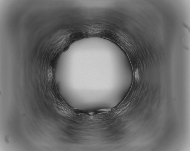 X0000096381299200802141422