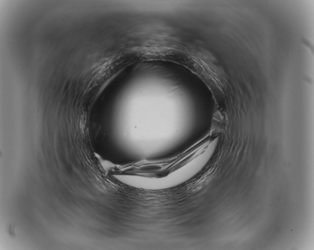 X0000096381300200802141422