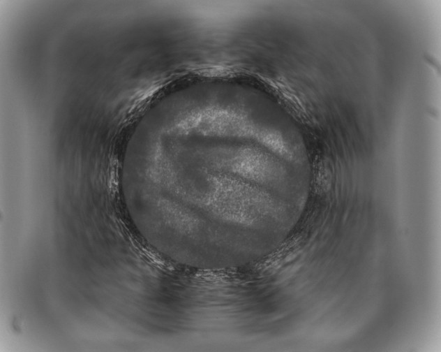 X0000096381301200802141422