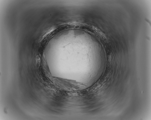 X0000096381302200802141422