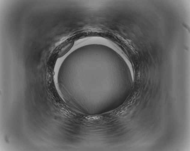 X0000096381303200802141422