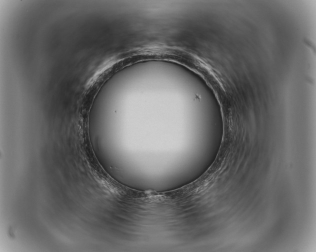 X0000096381304200802141422