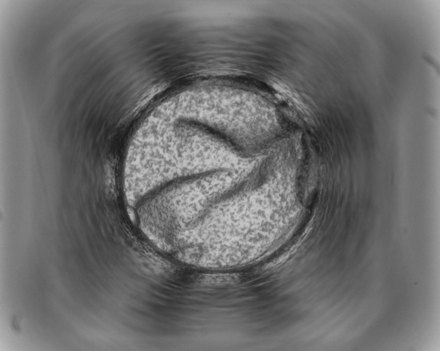 X0000096381305200802141422