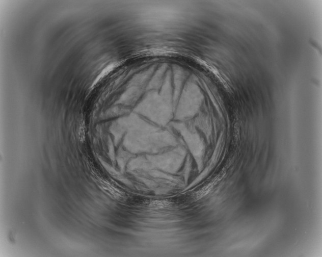 X0000096381306200802141422