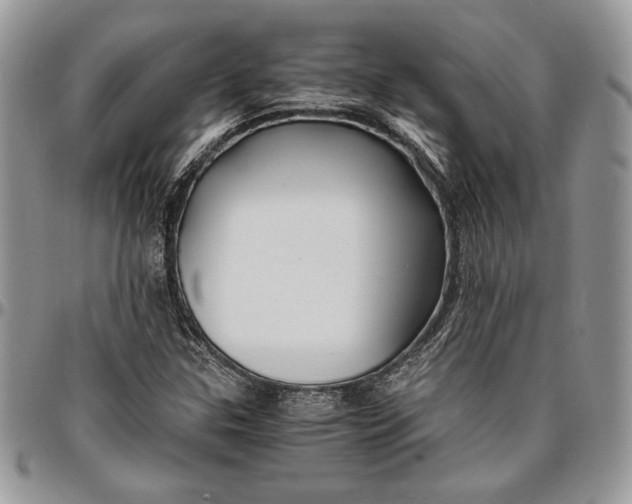 X0000096381307200802141422