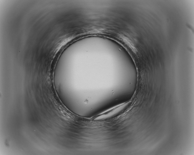 X0000096381308200802141422