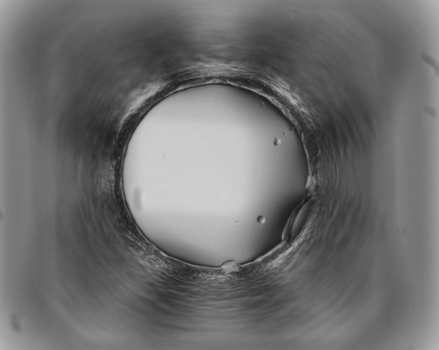 X0000096381309200802141422