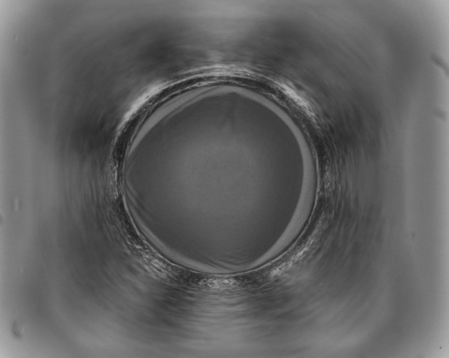 X0000096381310200802141422