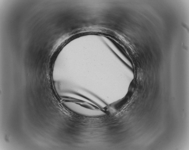 X0000096381312200802141422