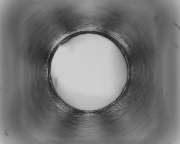 X0000096381316200802141422