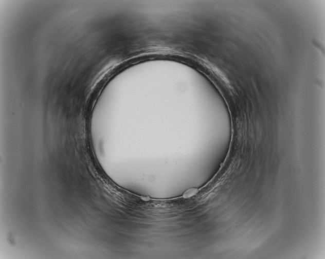 X0000096381318200802141422