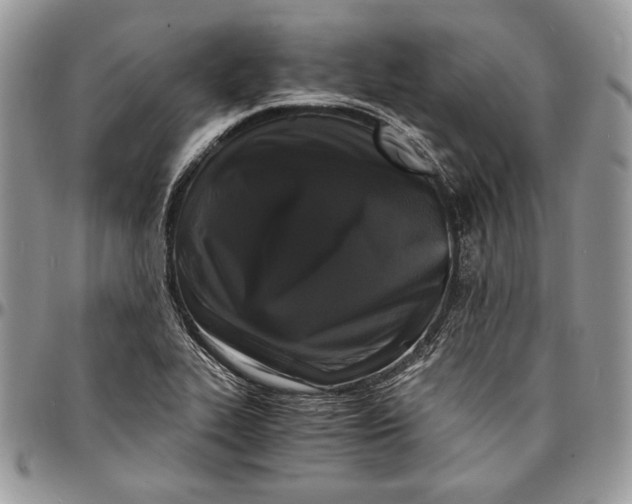 X0000096381319200802141422