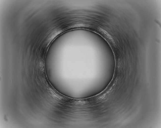 X0000096381321200802141422