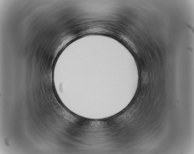 X0000096381322200802141422