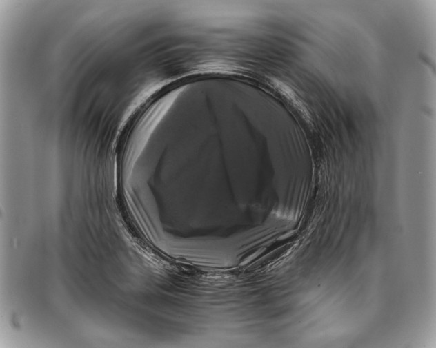 X0000096381323200802141422