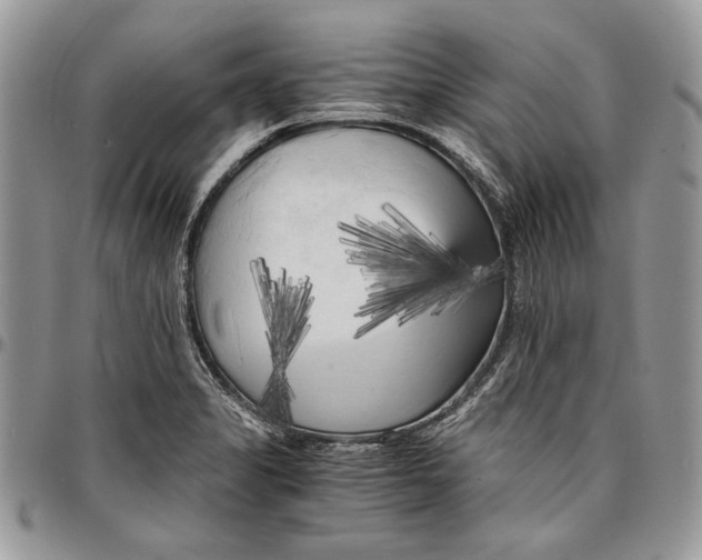 X0000096381325200802141422