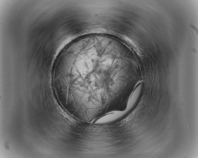 X0000096381326200802141422