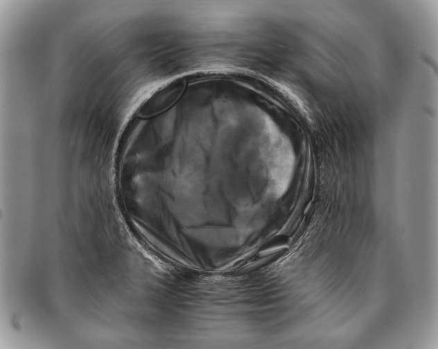 X0000096381327200802141422