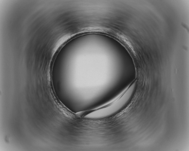 X0000096381328200802141422