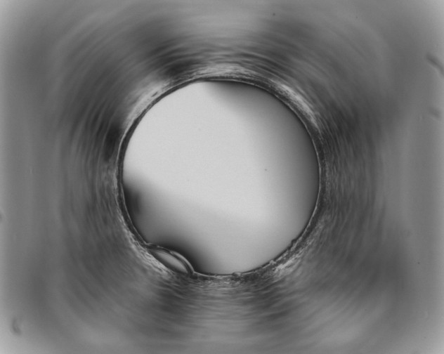 X0000096381330200802141422