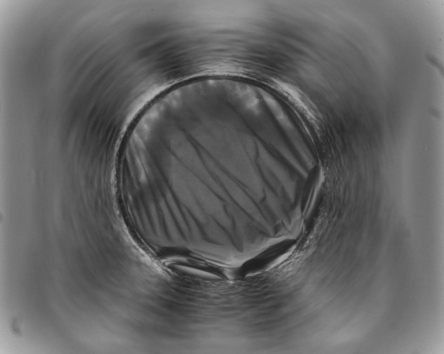 X0000096381331200802141422