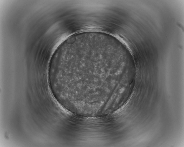 X0000096381333200802141422