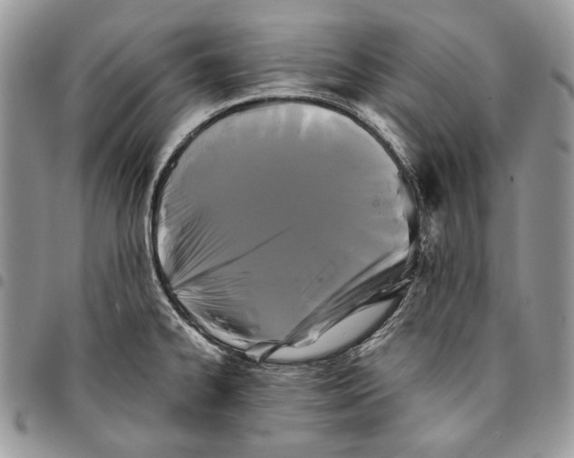 X0000096381334200802141422