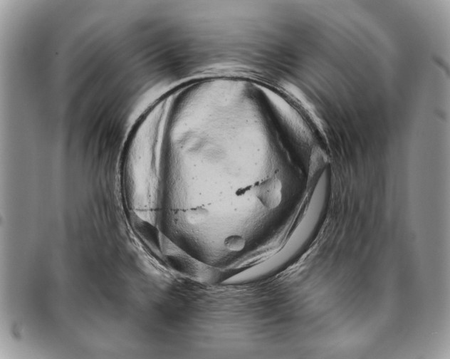 X0000096381336200802141422