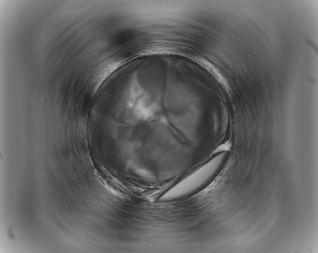 X0000096381337200802141422